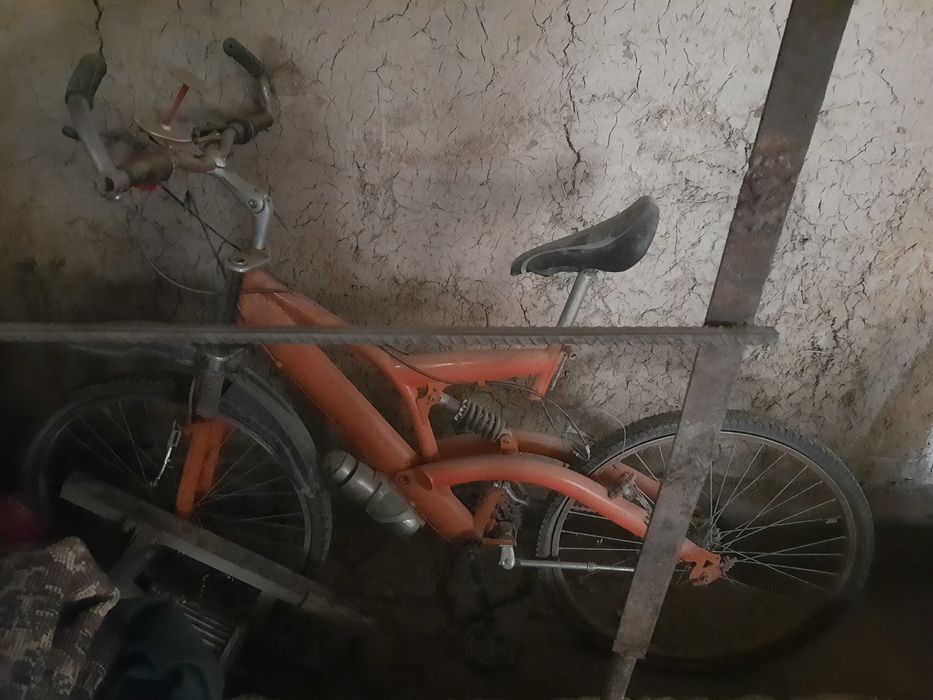 Скорисли велик                               .