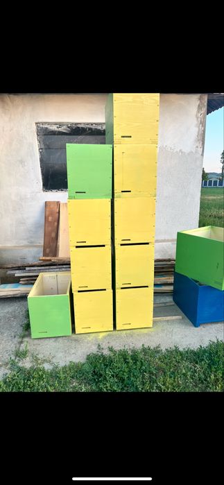 Vand stupi pe 12 rame