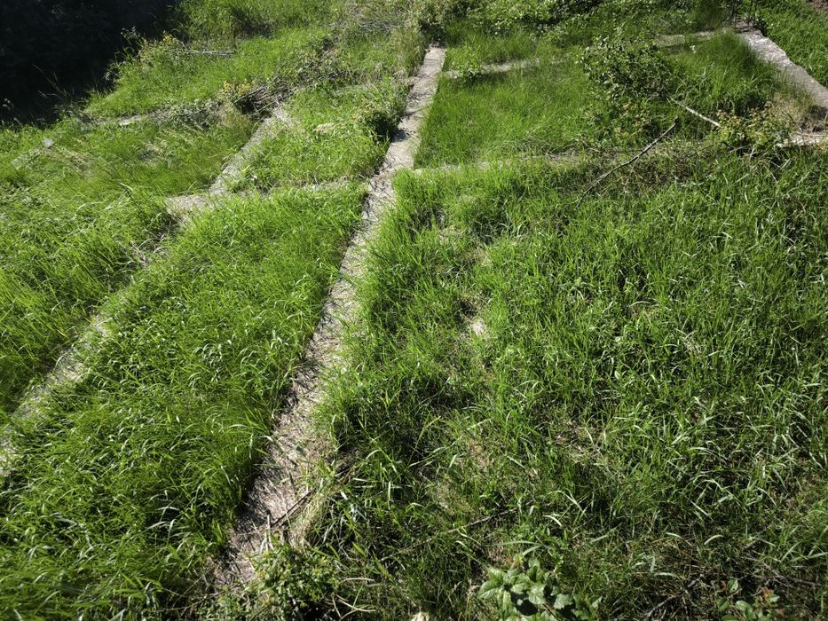 Teren intravilan 800 mp + fundație 135 mp | Roznov, Slobozia – Strada Răculești | Ideal pentru casă