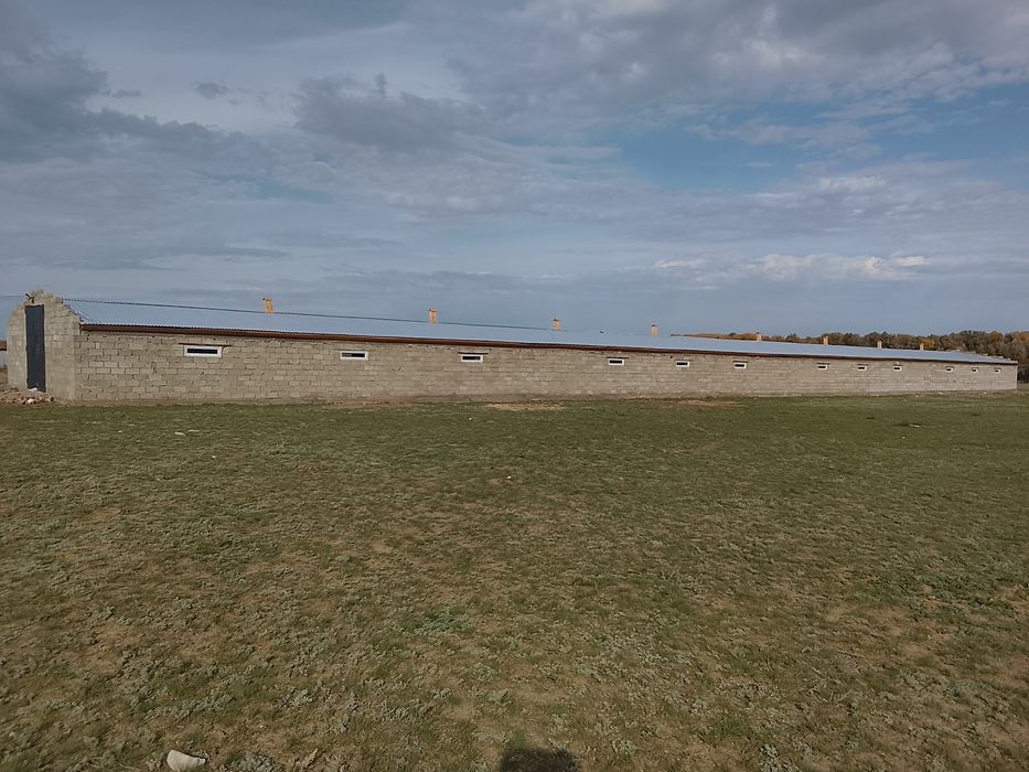 Стройтелные работа