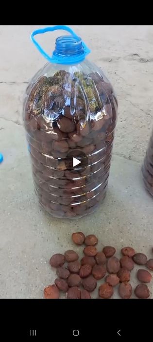 Turshak sotiladi 10 litr baklashkaga solingan