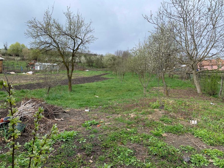 Casa la tara cu teren 2700 MP