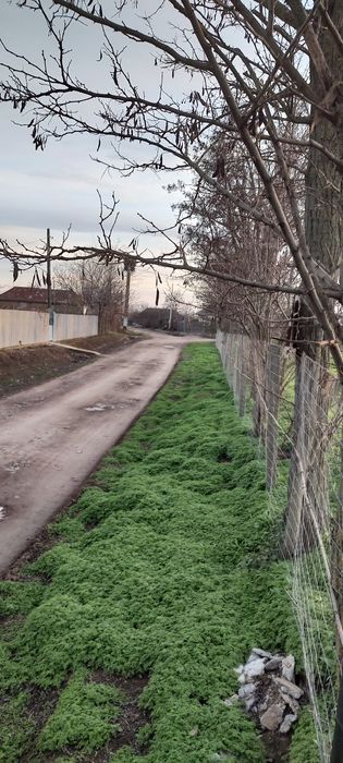 Teren intravilan Sabangia -Tulcea