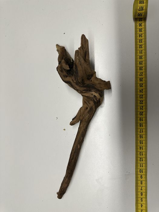 Lemne / radacini acvariu