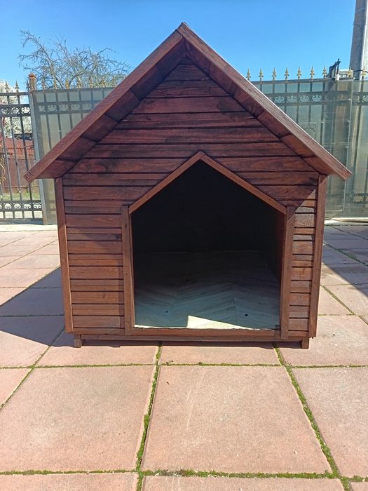 Cușcă câine, coteț