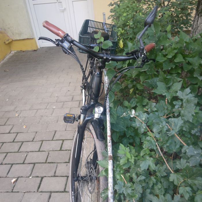 Bicicleta electrică Classywalk
