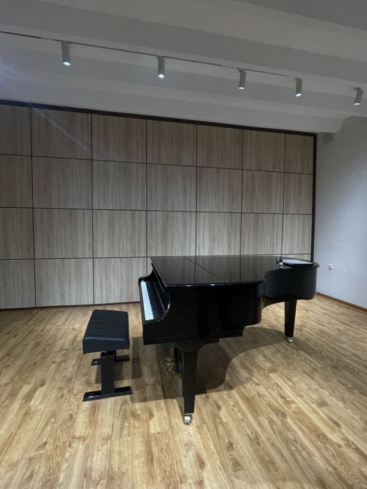 Профессиональная настройка Фортепиано.