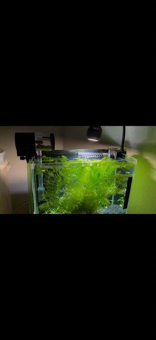 Открой мир аквариума