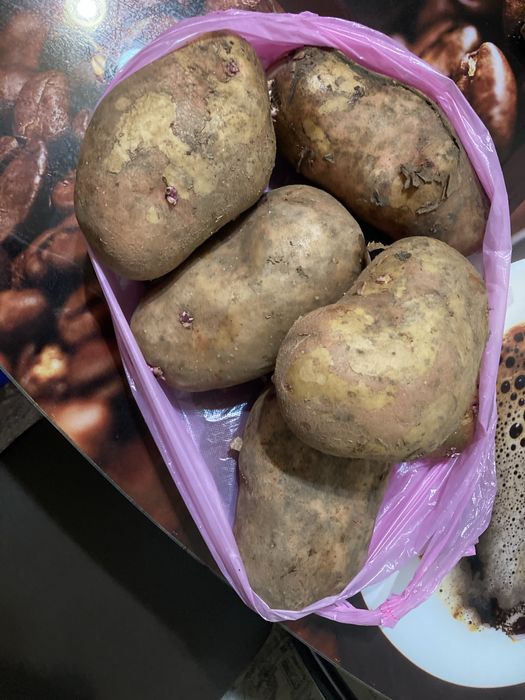 Продам картошку дачную