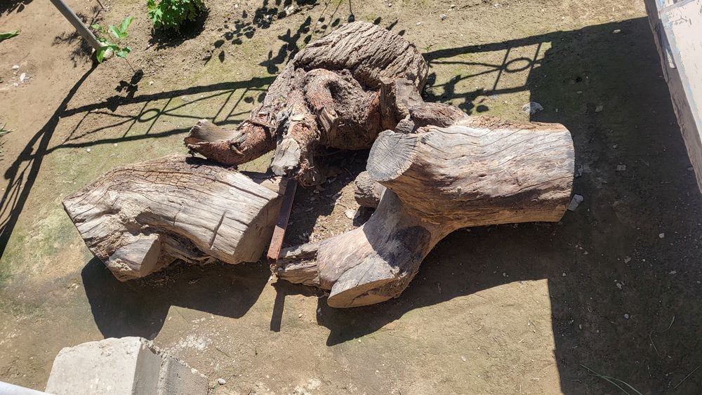 O'tin sotiladi tekingaxam bervoraman