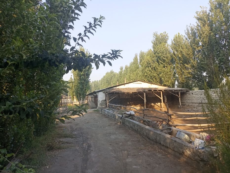 Чорва ферма сотилади 40 сотих