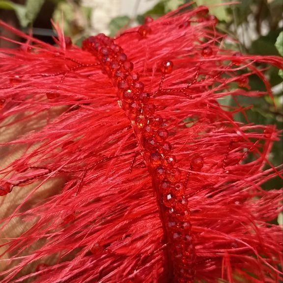 Bujiter abadok patli