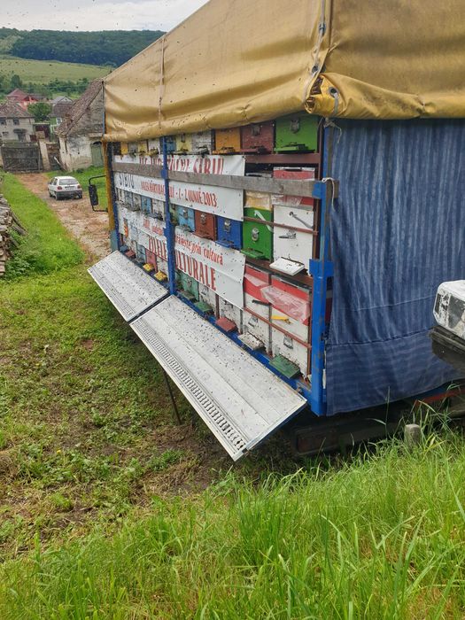 Vand MERCEDES ATEGO 815, 7,5 tone
