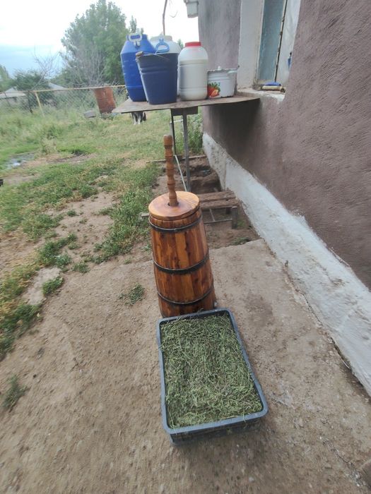 Қымыз тапсырыс  қабылдаймын