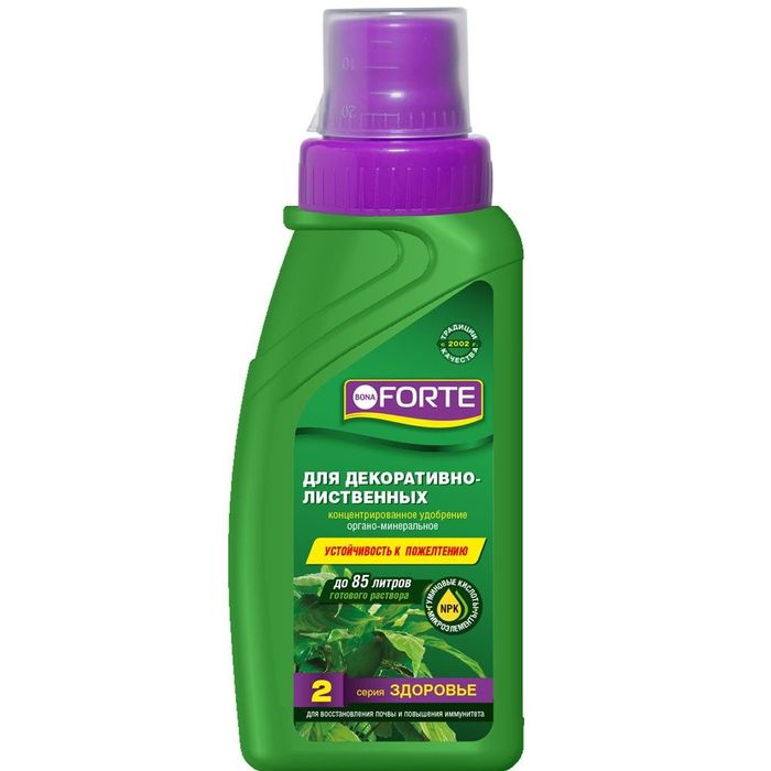 Bona Forte бона форте