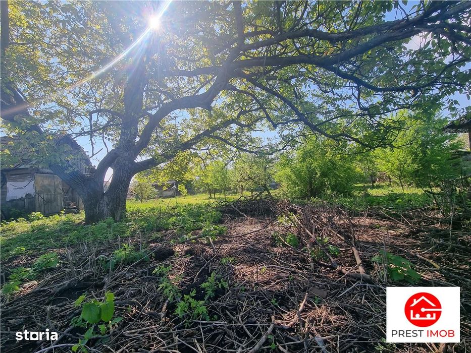 Teren intravilan de vanzare 14900 mp, 43m deschidere  Mureseni, Mures