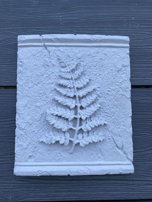 Placa beton cu model