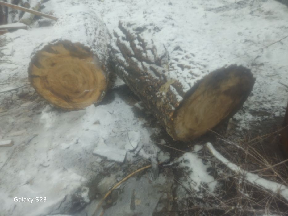 Пень для рубки мяса