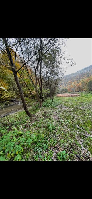 De vanzare Teren tanita 2150 mp