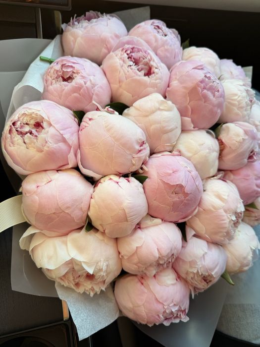 Продам срочно шикарные пионы! 40 тыс