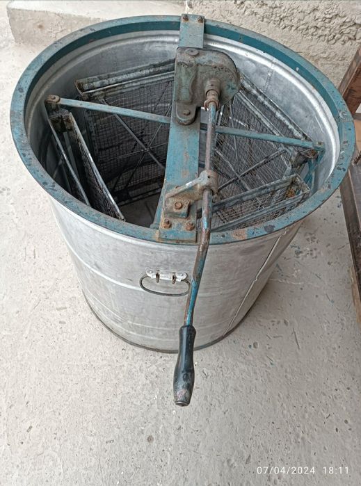 Медагонка российский