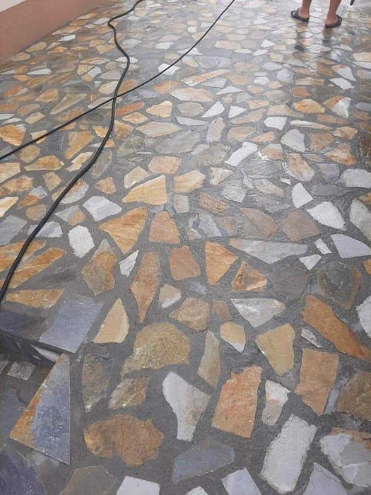 Vând mesteacăn și tei