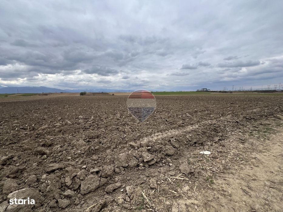 Teren de Vânzare 2.800 mp Bungard – Șelimbăr | Oportunitate Strategică