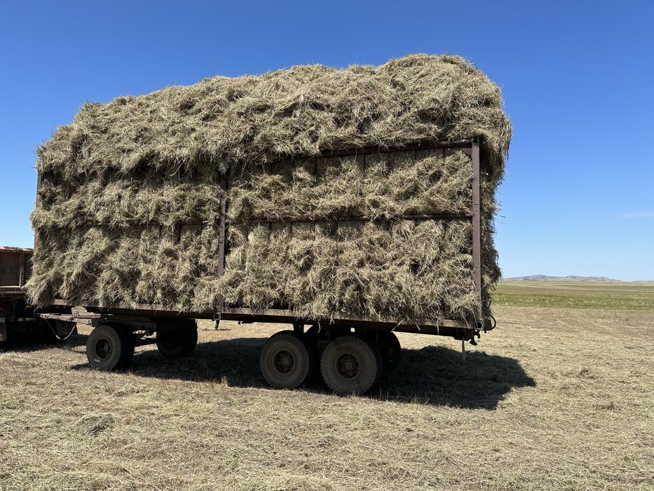 Продам прицеп сеновозка птс -13