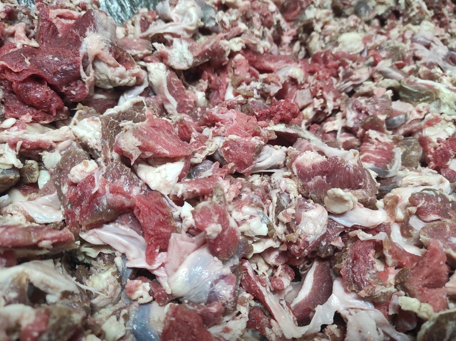 Храна за кучета и котки