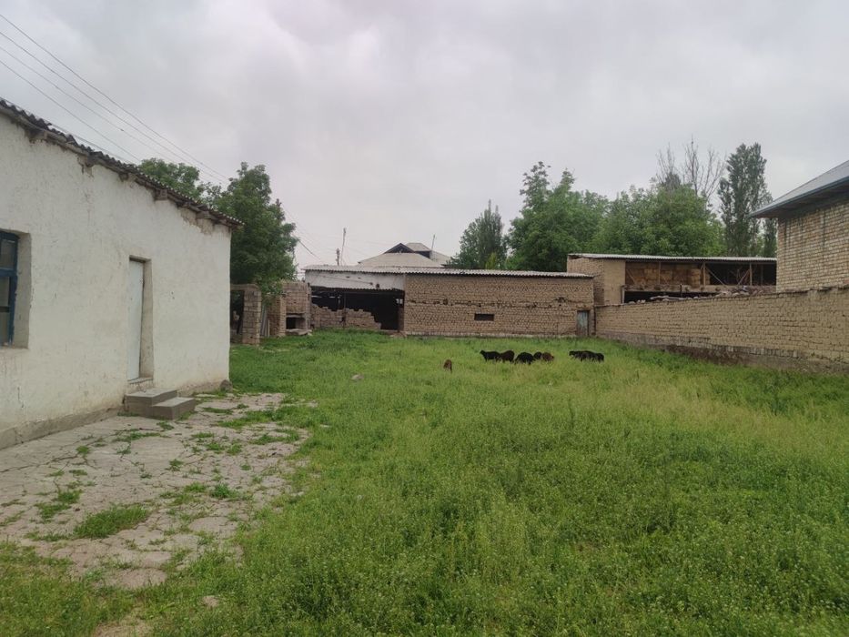 Srochna Ohangaron tumani Eyvalik MFY da joylashgan hovli uy sotiladi.