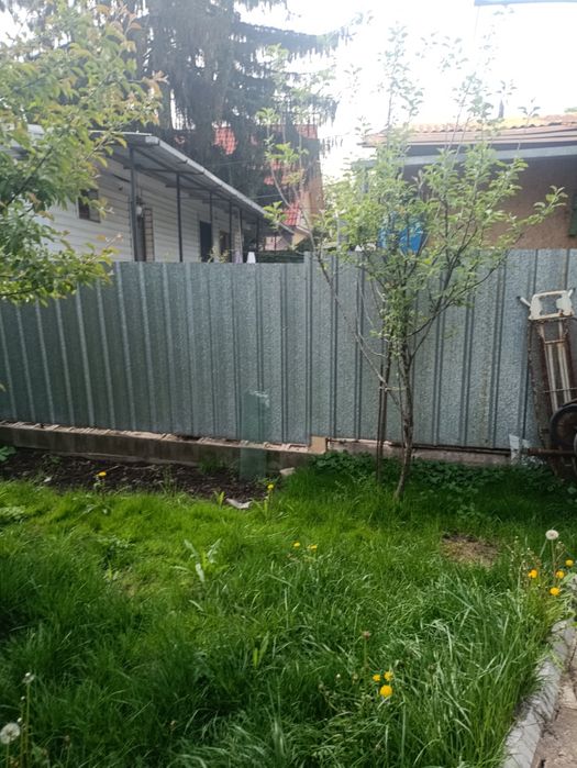 Продам яблони .2 -ствола 10 лет. 1-5 лет.