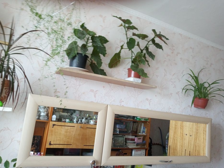 Шкаф навесной, светлый.