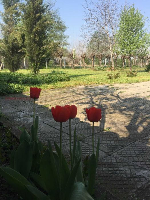 Продава се Къща в Първомай - 203 кв.м за 276 €/кв.м - Снимка #7