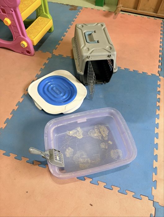 Набор для кота