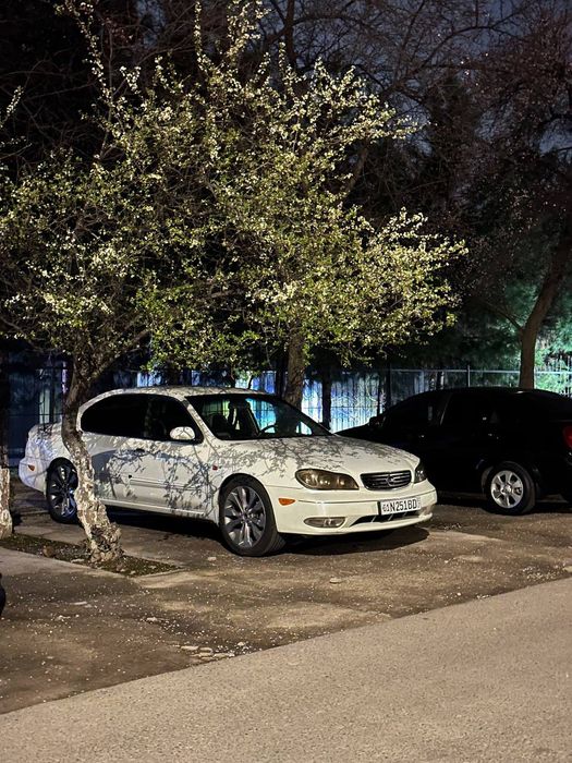 Nissan maksima a33  2004 arenda