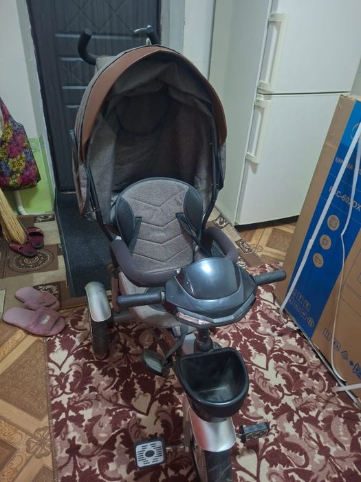 Велоколяска и к придачу маленький велосипед
