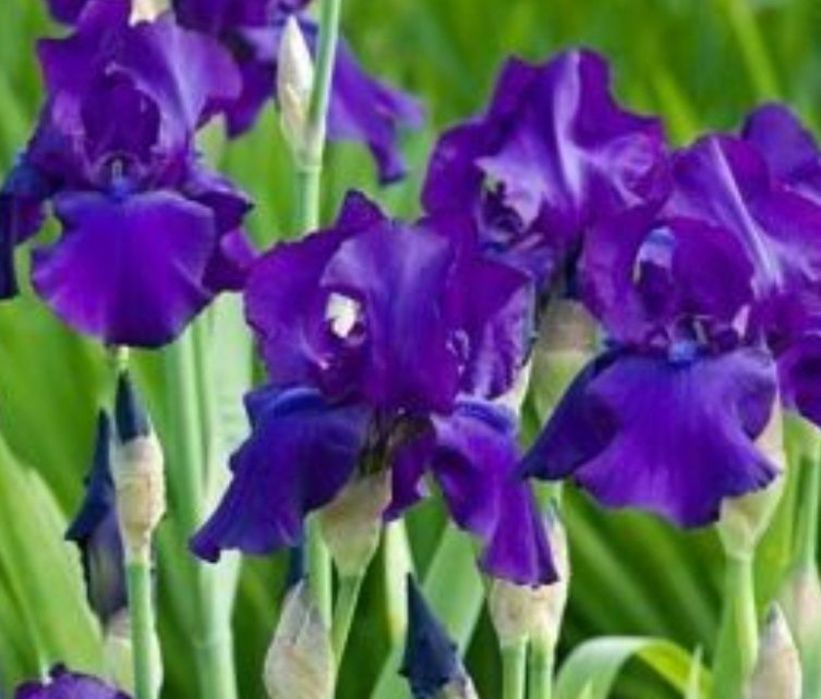 Срочно срочно продам