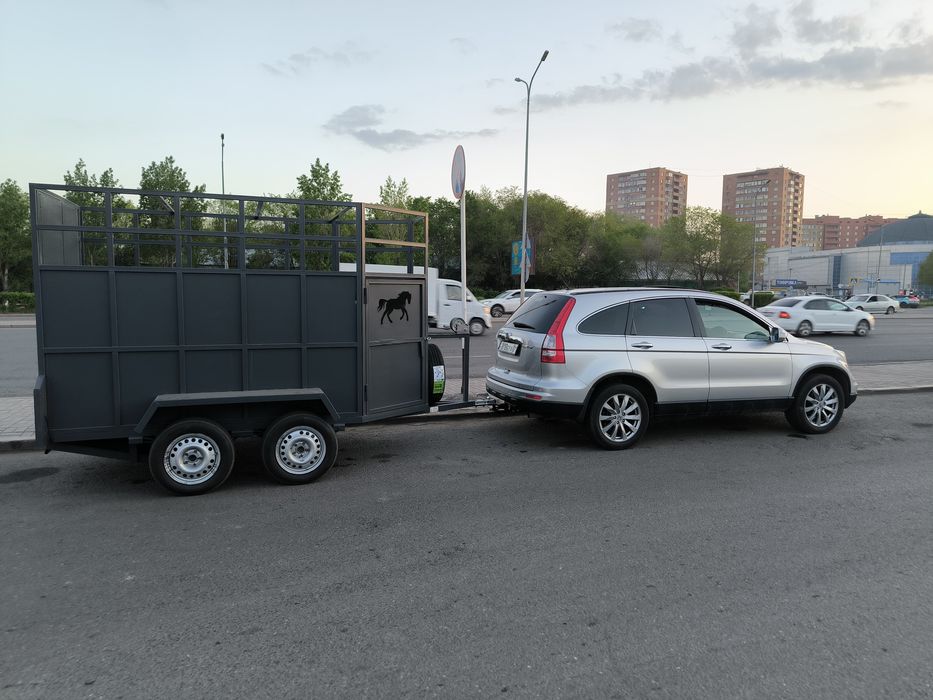 Коневозка. прицеп для лошадей