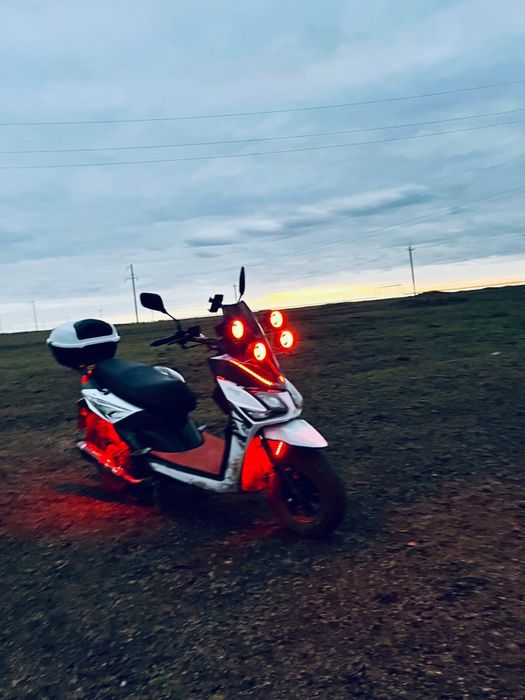 Прооодамм самурай