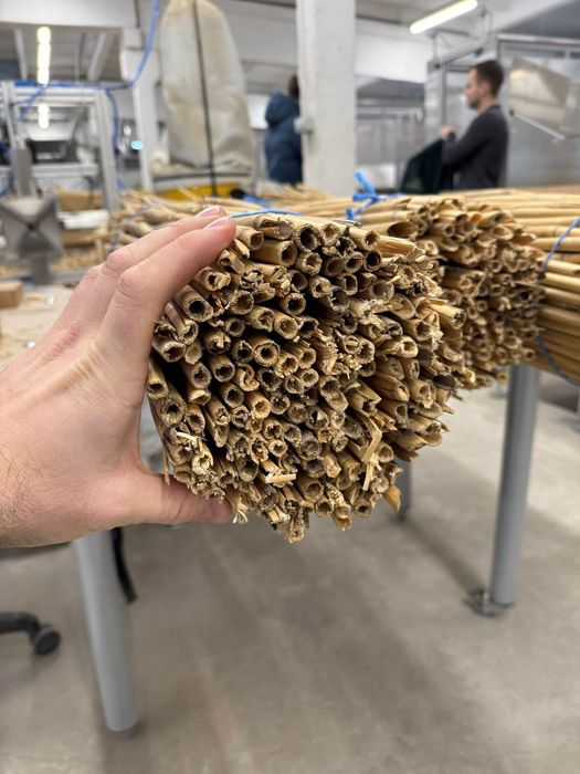 Камыс ши веточка