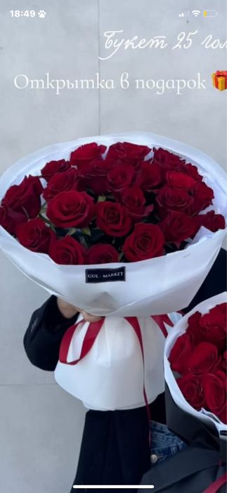 срочно гул сатам!!