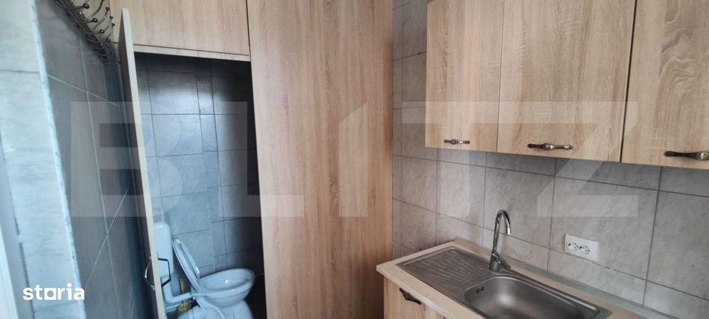 „Casa Lily” – Cladire Emblematica cu Potential Comercial Except