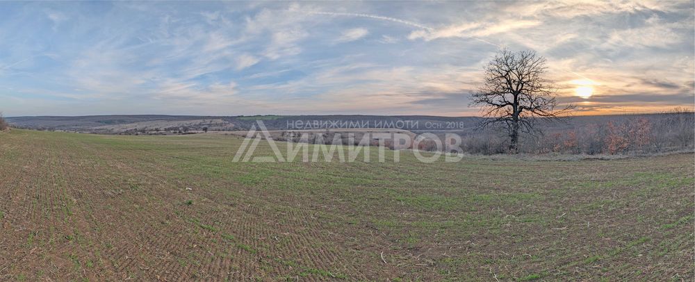 Продава парцел 5 дка в регулация между селата Мировци и Писарево.