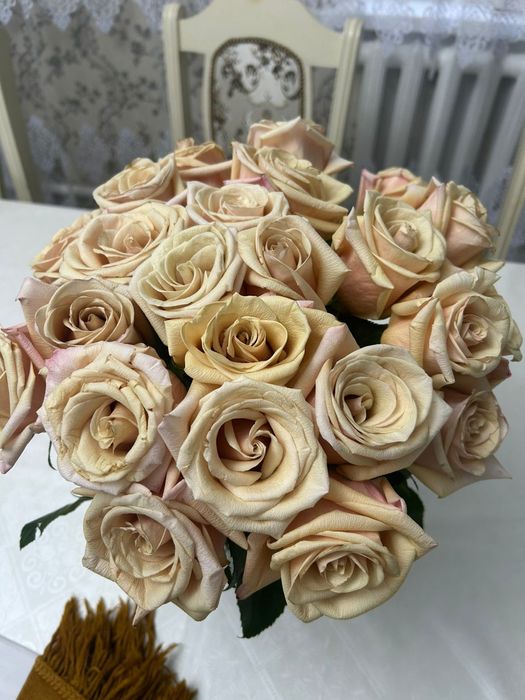 Продам цветы Роза