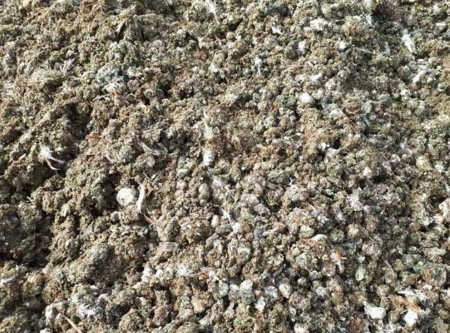 Товук, гунги сотилади (ўғит) товук фабрикадан