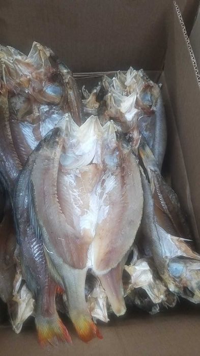 Копчёная рыба  пелядь боровое