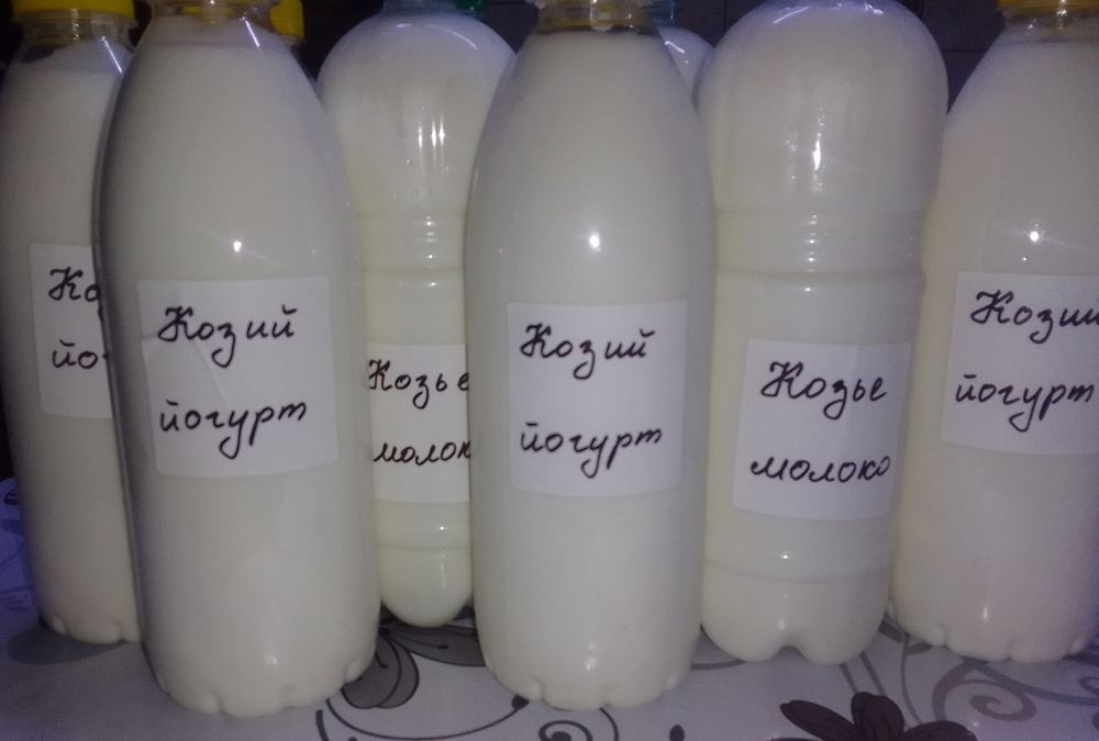 Козье молоко ХАЛАЛ