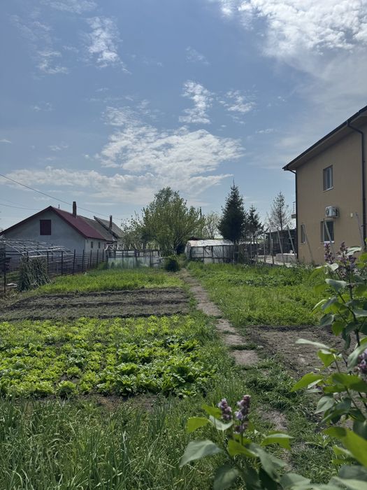 Vand teren intravilan 1000 mp in Nanov Langa Alexandria zona stadion