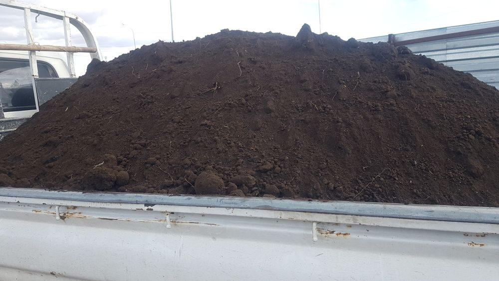 Чернозем, перегной.