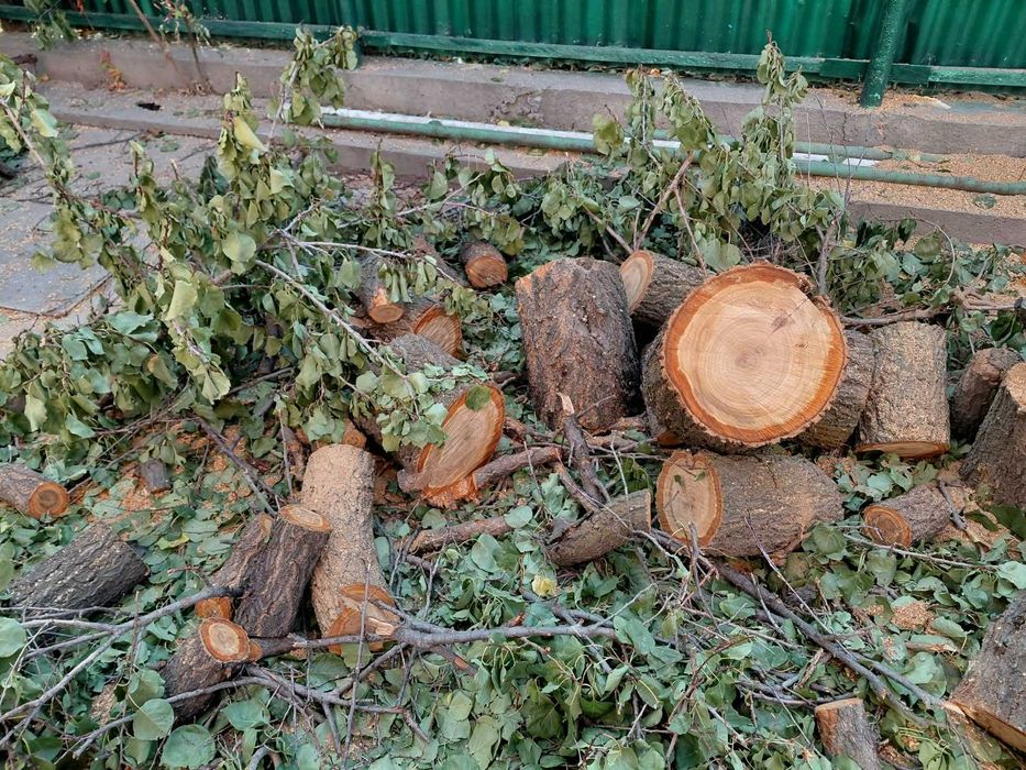 Продам дрова для шашлыка